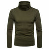 Silk Soft Turtle Neck