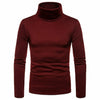 Silk Soft Turtle Neck