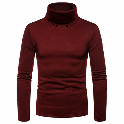 Silk Soft Turtle Neck