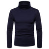 Silk Soft Turtle Neck