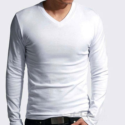 2021 ESSENTIAL V-NECKS